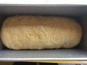 Anadama面包（BBA浸泡法）的做法 步骤6
