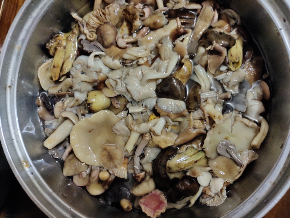 大东北白菜蘑菇酱的做法