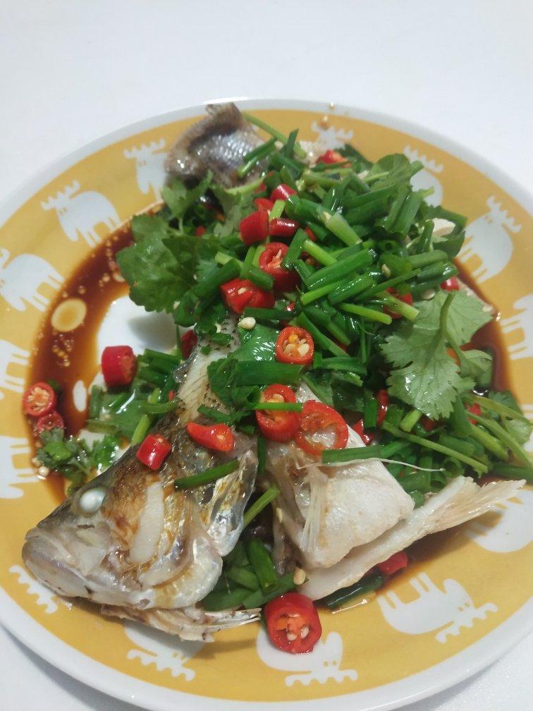 清蒸鱼（鲈鱼/多宝鱼/桂花鱼/石斑鱼……）