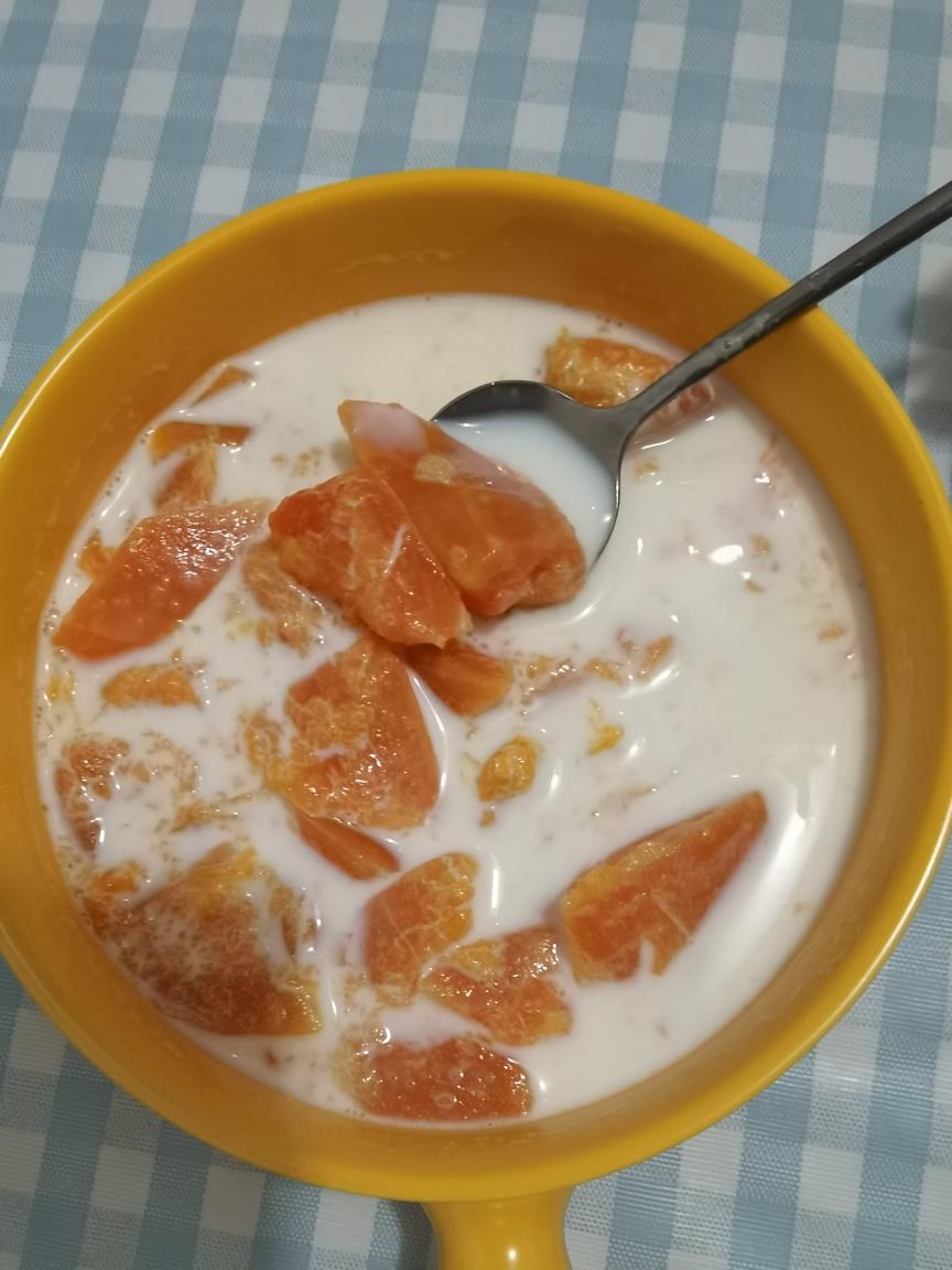 快手木瓜炖牛奶