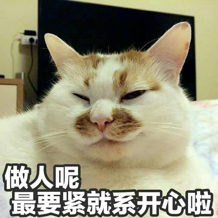 被被呀