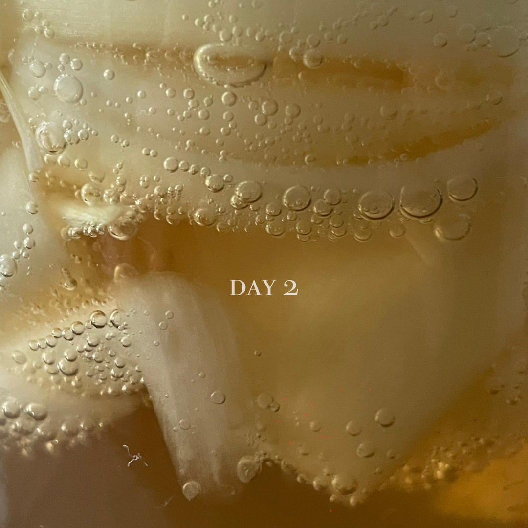 野生酵母之洋葱酵母