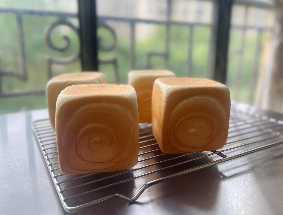 一份关于手撕吐司的跟风笔记