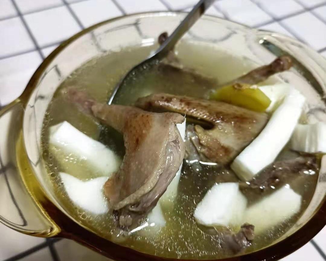 鸽肉椰子汤或鸡肉椰子汤的做法