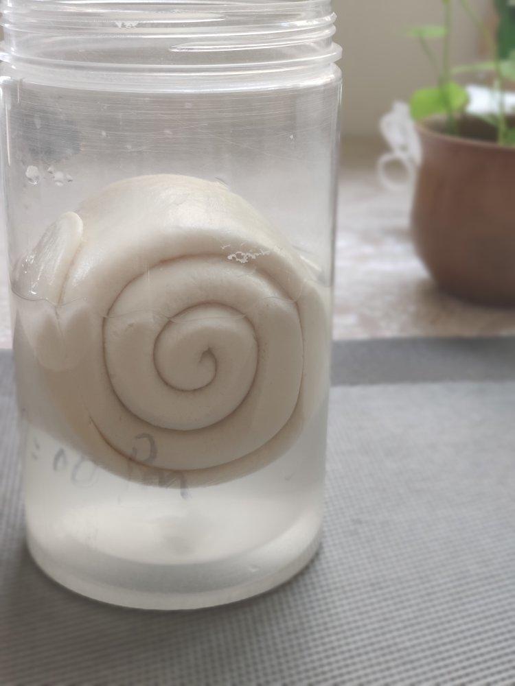 意大利水式酵母（Pasta Madre)