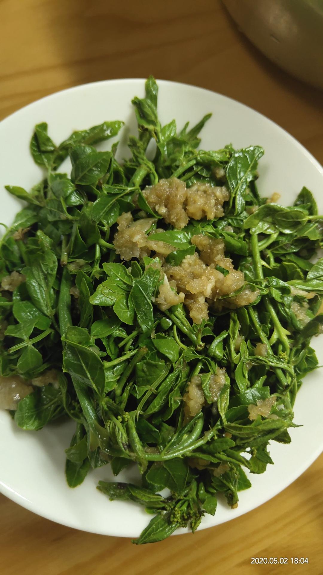 訫小花做的凉拌花椒芽