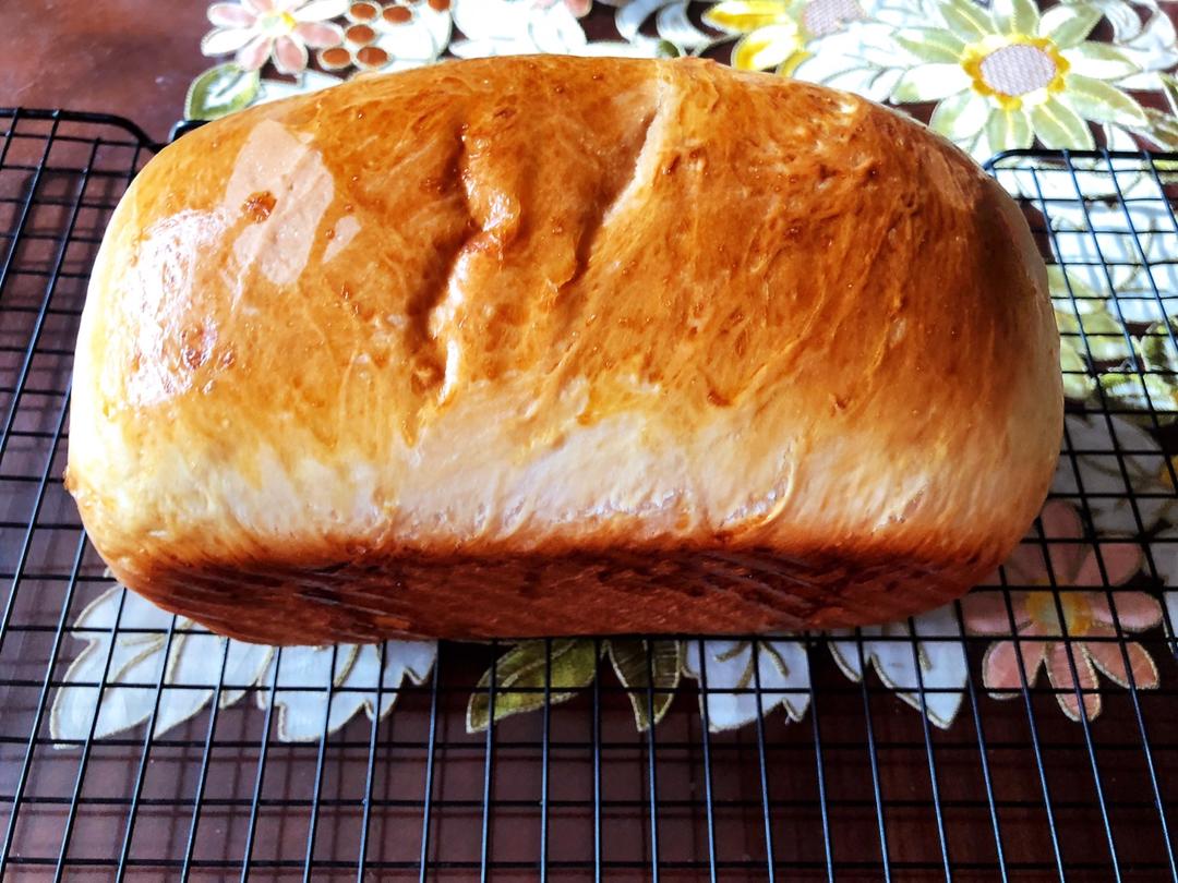 认认真真教会你做面包！看完这个视频，你就会做面包了！