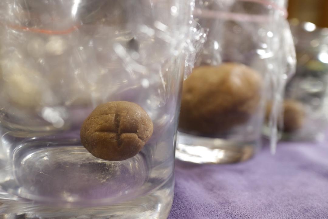天然酵母鲁邦种培养日记（全麦面粉）成功