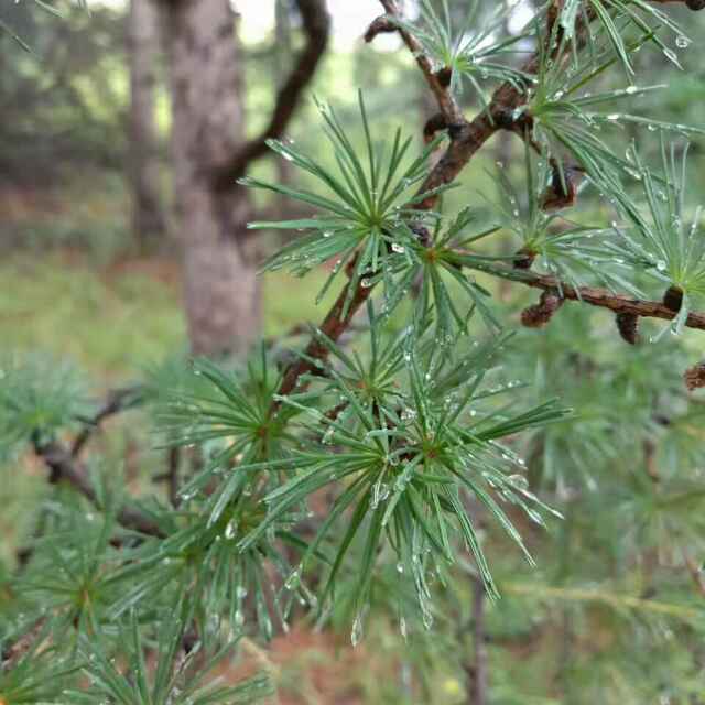 一路芬芳1的厨房