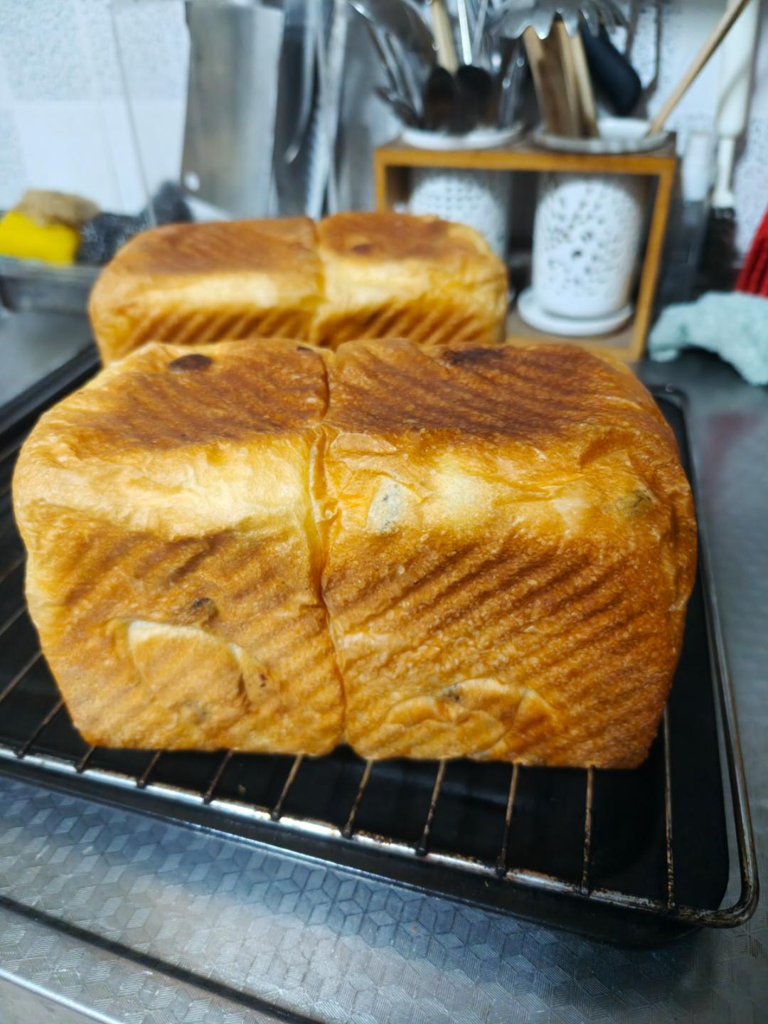 预祝冬安 明石克彦老师的提子吐司