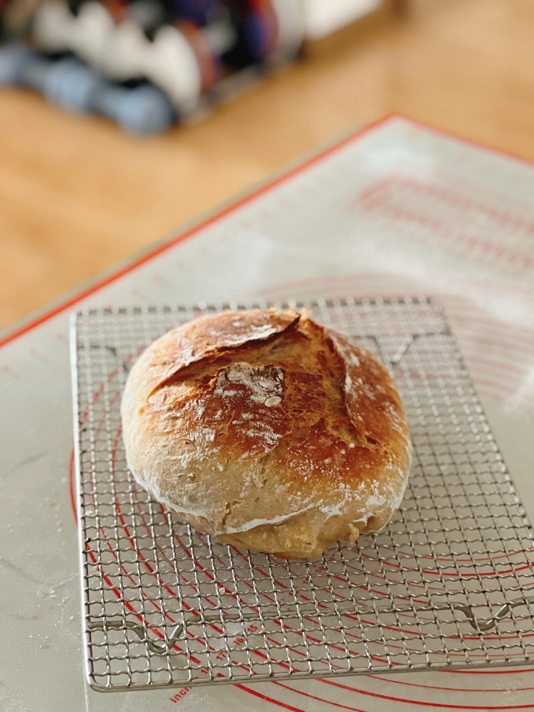 【外脆里软】小朋友都爱的无油无糖全麦酸奶乳清硬欧包乡村面包免手揉健身减脂