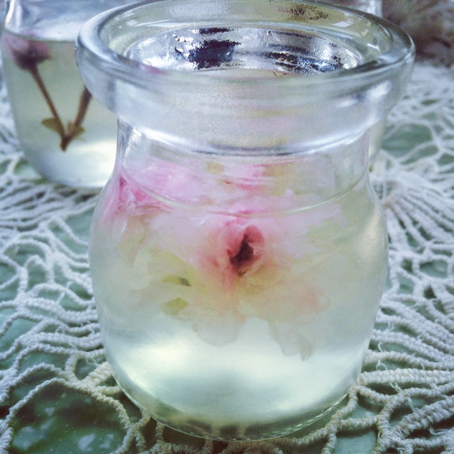 盐渍樱花冻