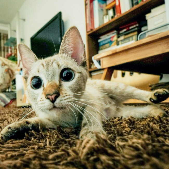 给时间时间_让过去过去