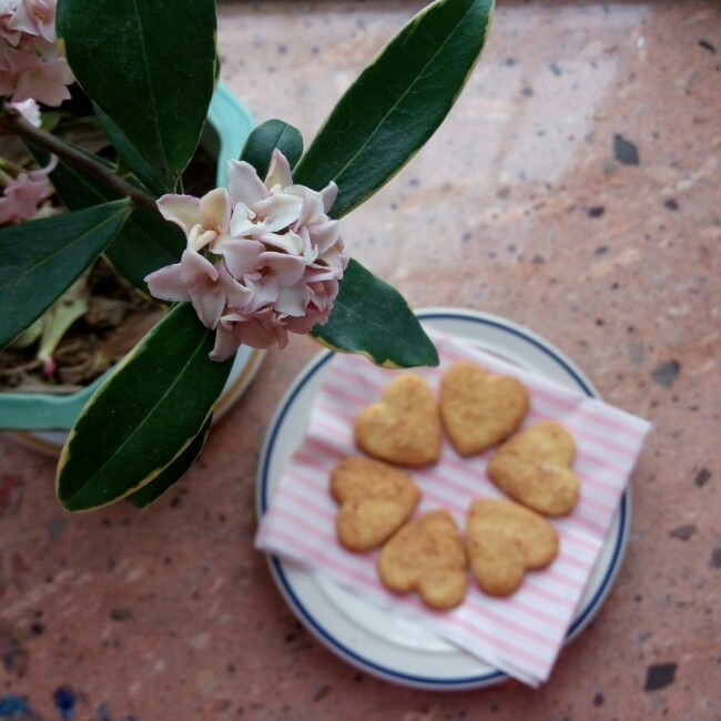 【椰酥】酥软椰蓉奶油椰子小饼干