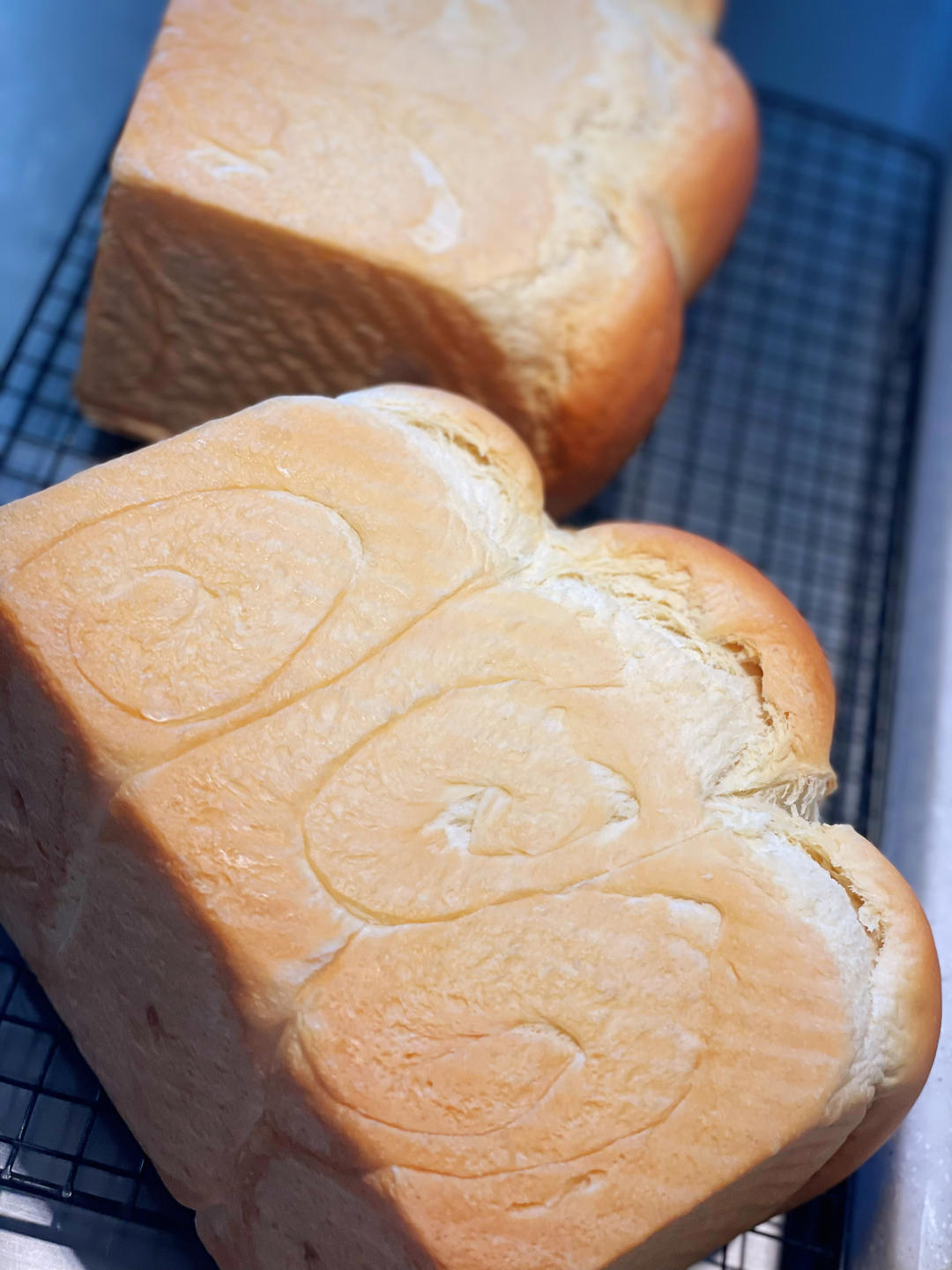 【北海道吐司】体验经典-妃娟100%中种，冷藏冰种的美味