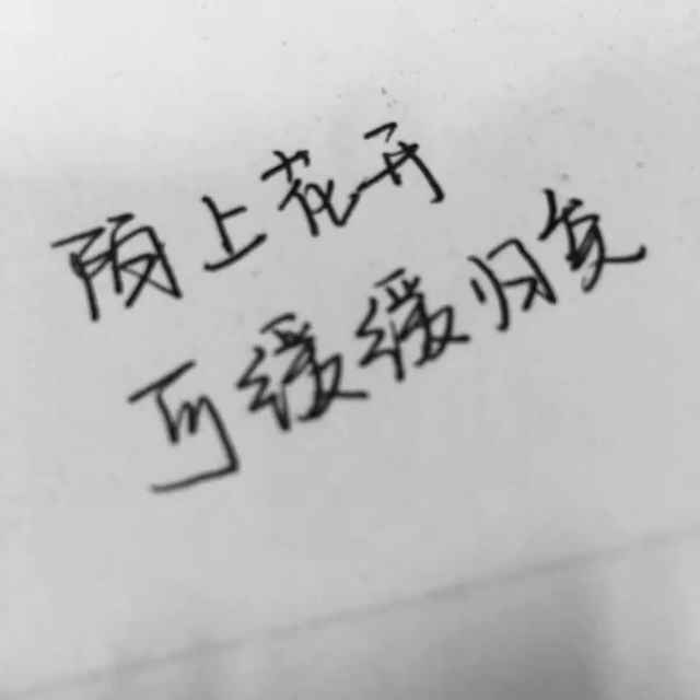 清禾的歌