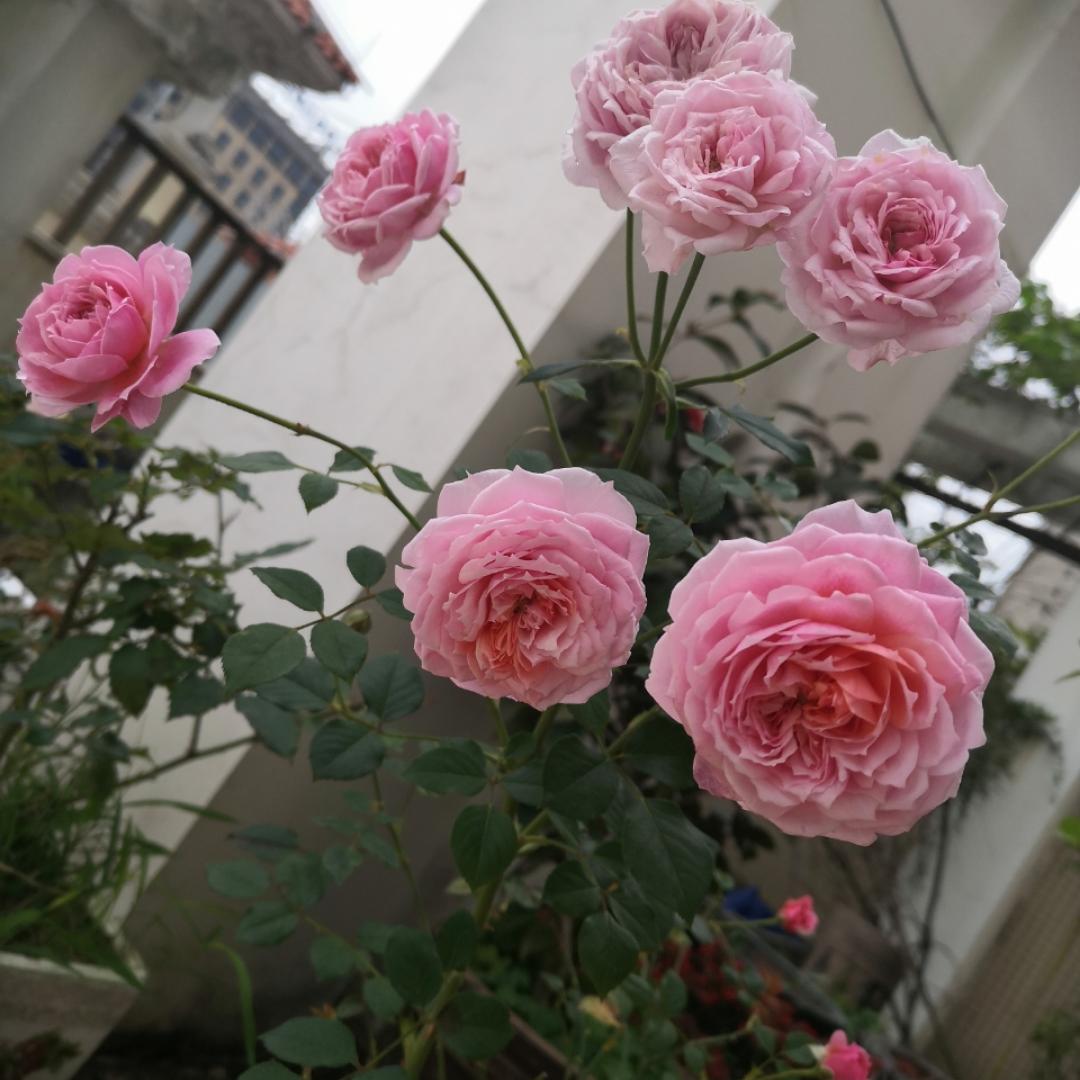 大气咖啡的厨房