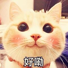 猜猜我最爱吃什么