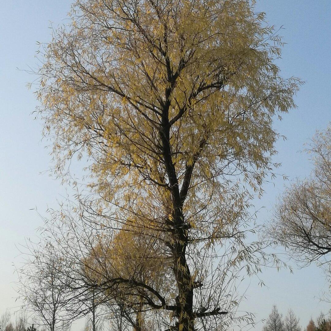 手机用户9826_hbjn