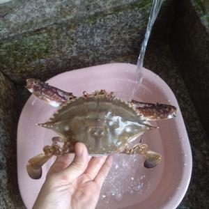 螃蟹炒蛋的做法 步骤1