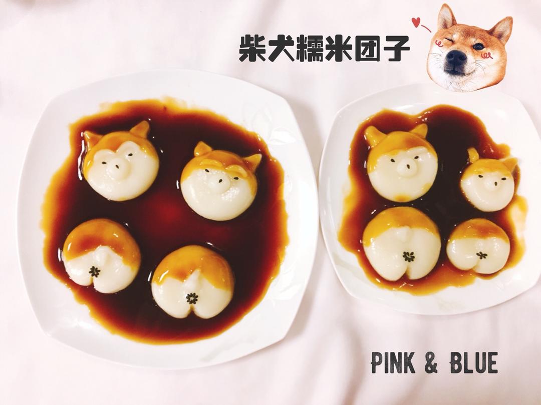 拥有小翘臀的柴犬糯米团子
