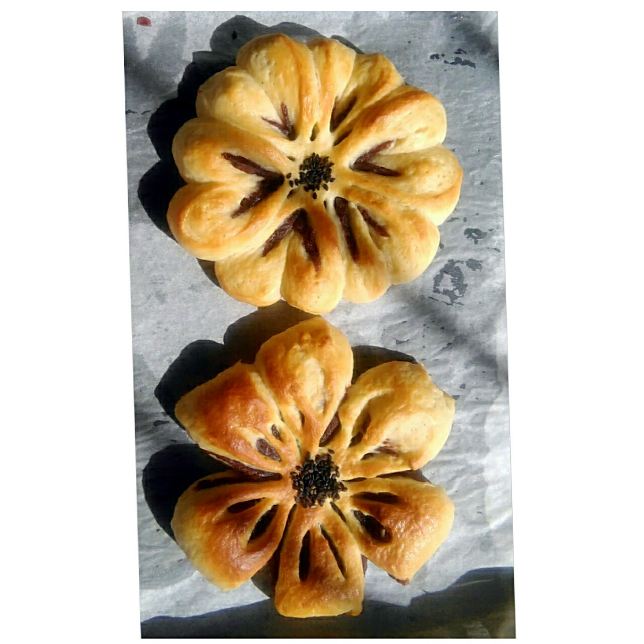 金大旺的胡萝卜小餐包
