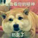 小祈梦丶