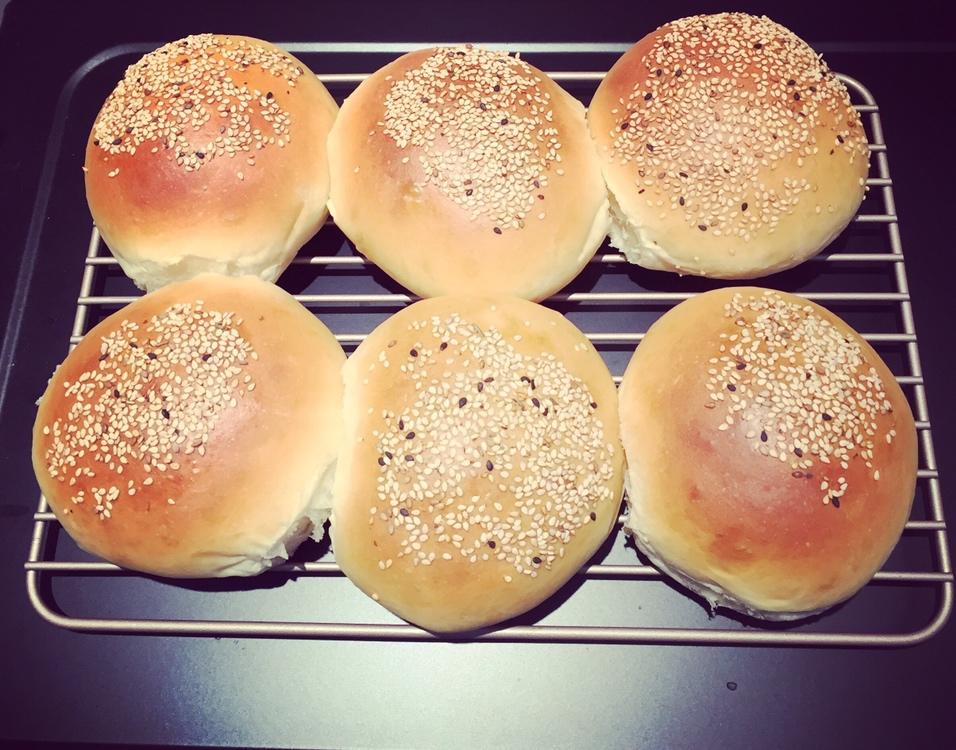 汉堡胚 poolish（波兰种）