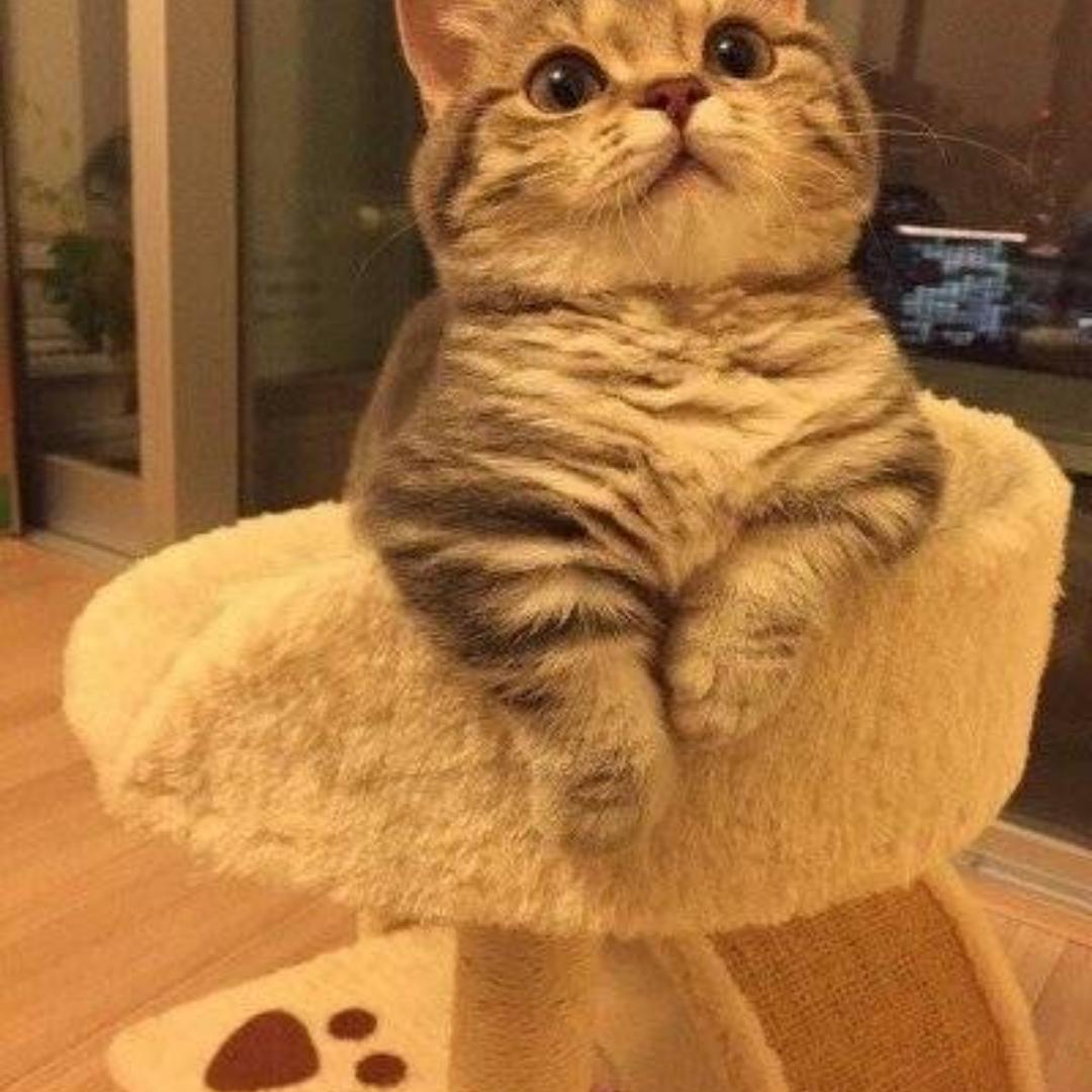 沧海的水与巫山的云