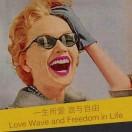 曹小車不是车