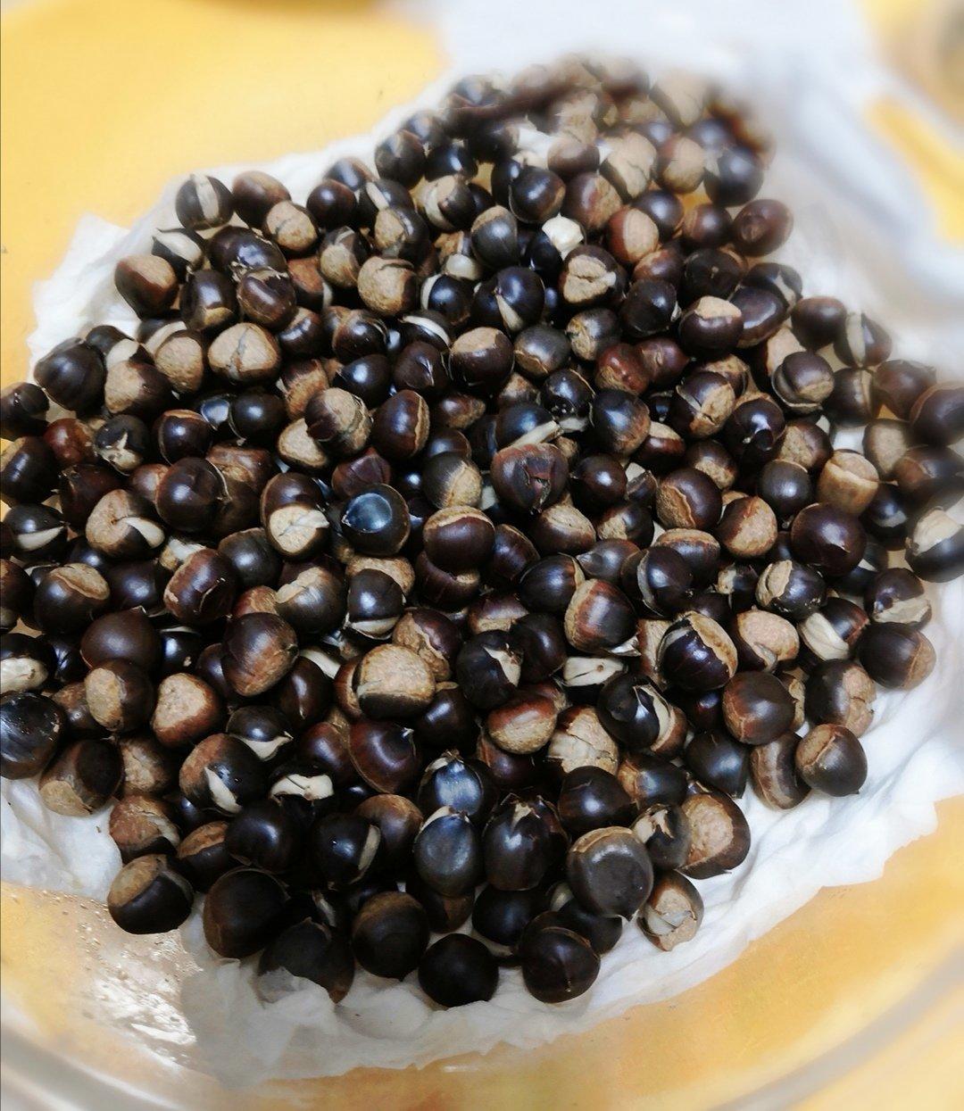 最佳零食：炒野生小锥栗