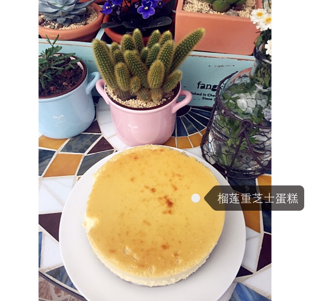 榴莲芝士蛋糕