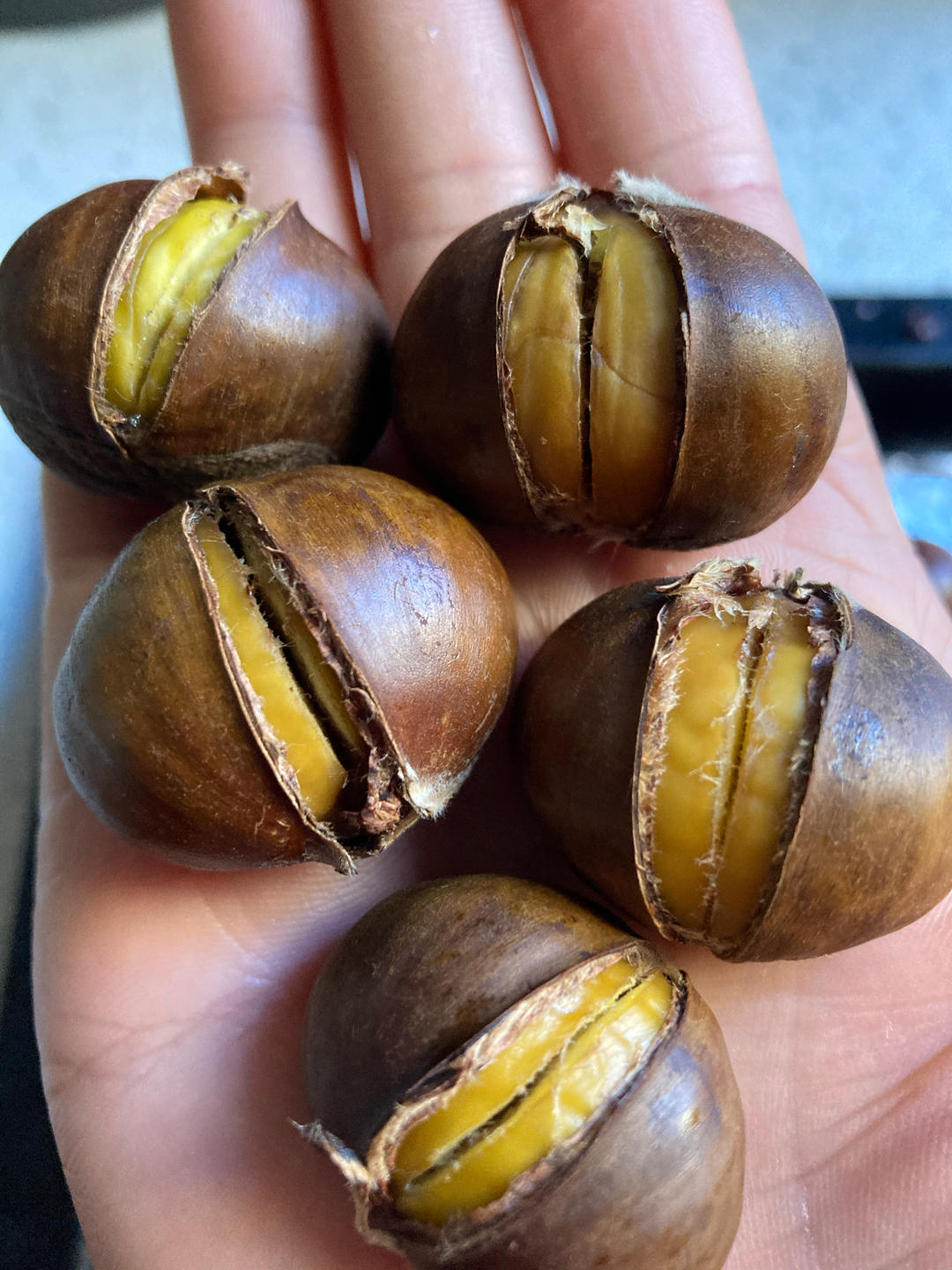 新手零失败烤栗子