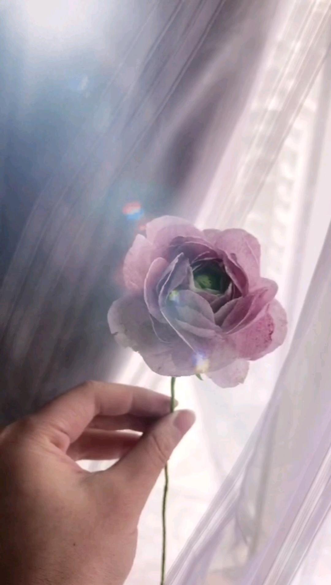 韩式裱花蛋糕
