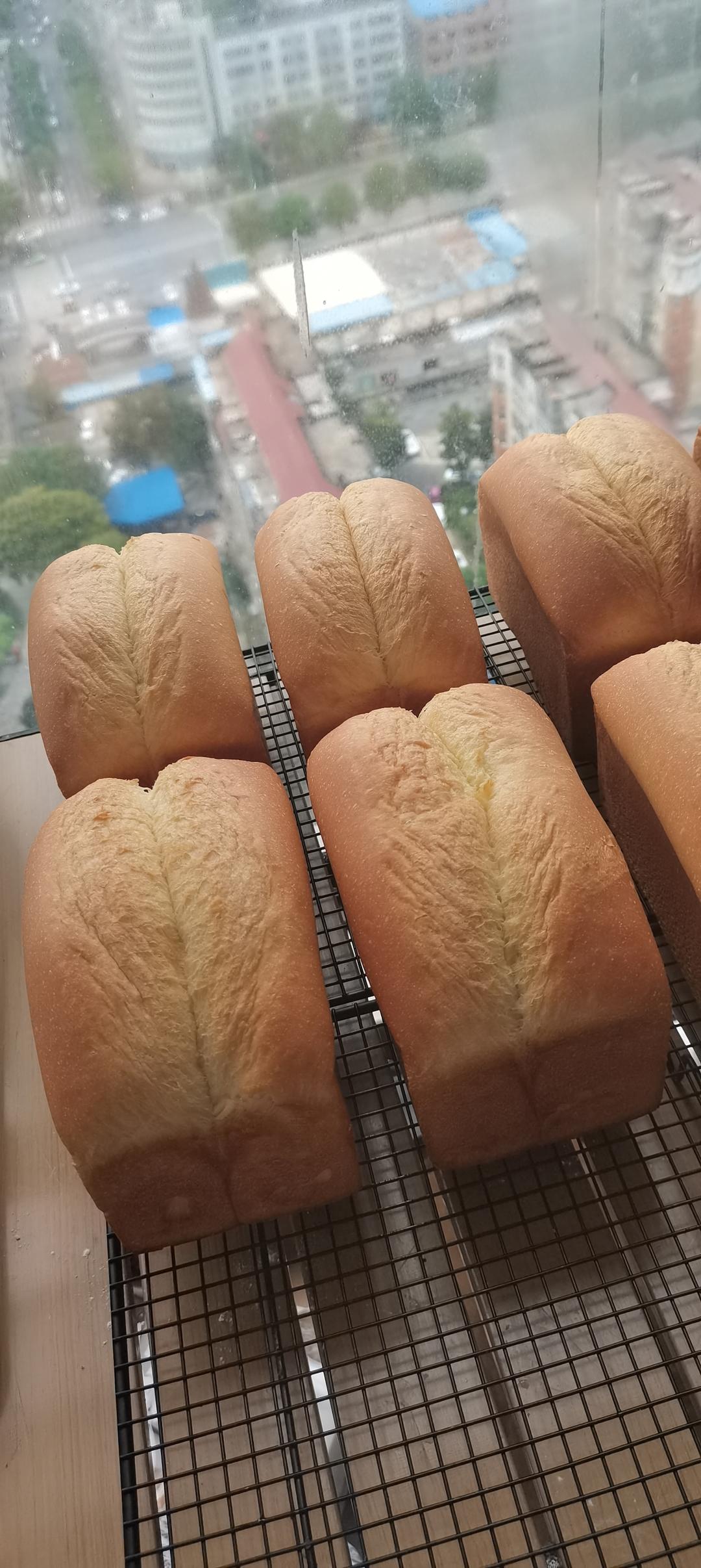 超软鲜牛乳巨蛋吐司