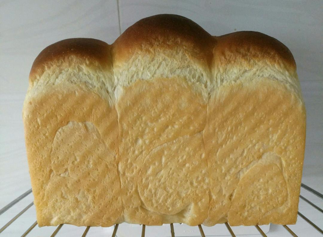 港式吐司～中种