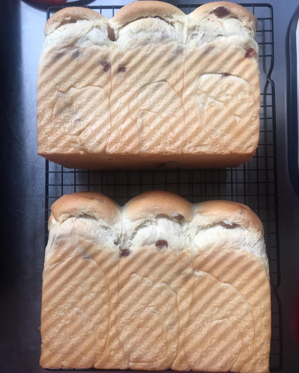 我最近每天做一个的葡萄干吐司，真的超松软好吃！