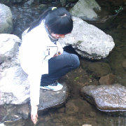 驿路心语sunflower