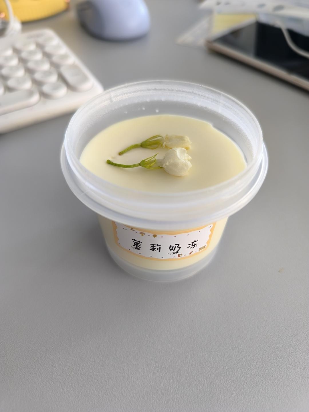 吃豆腐啦！——小嶋老师茉莉奶冻