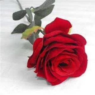 手机用户9301_ibuk