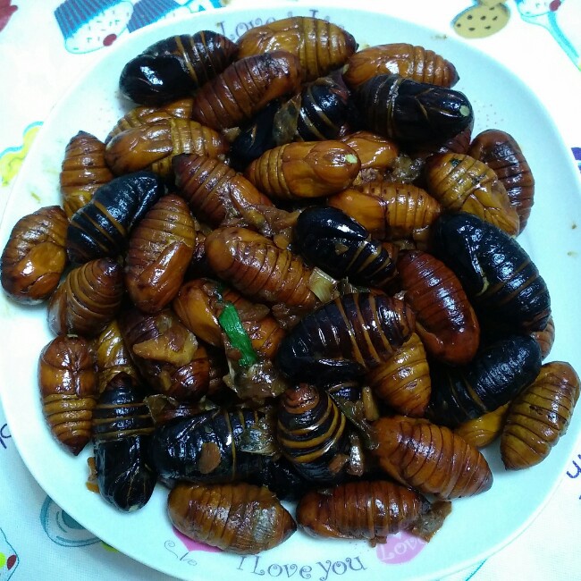 家常炒茧蛹