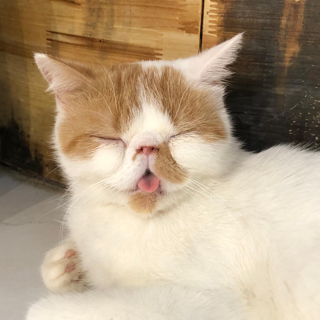 给kk做饭的每一天