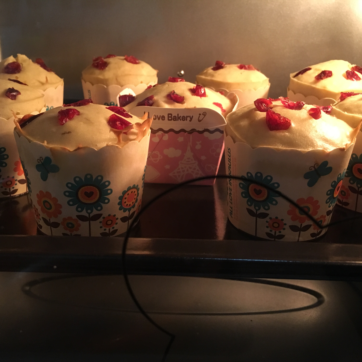 葡萄干（蔓越莓干）香蕉马芬