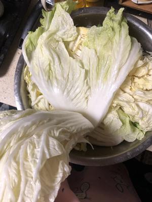 朝鲜族-辣白菜泡菜的做法 步骤2
