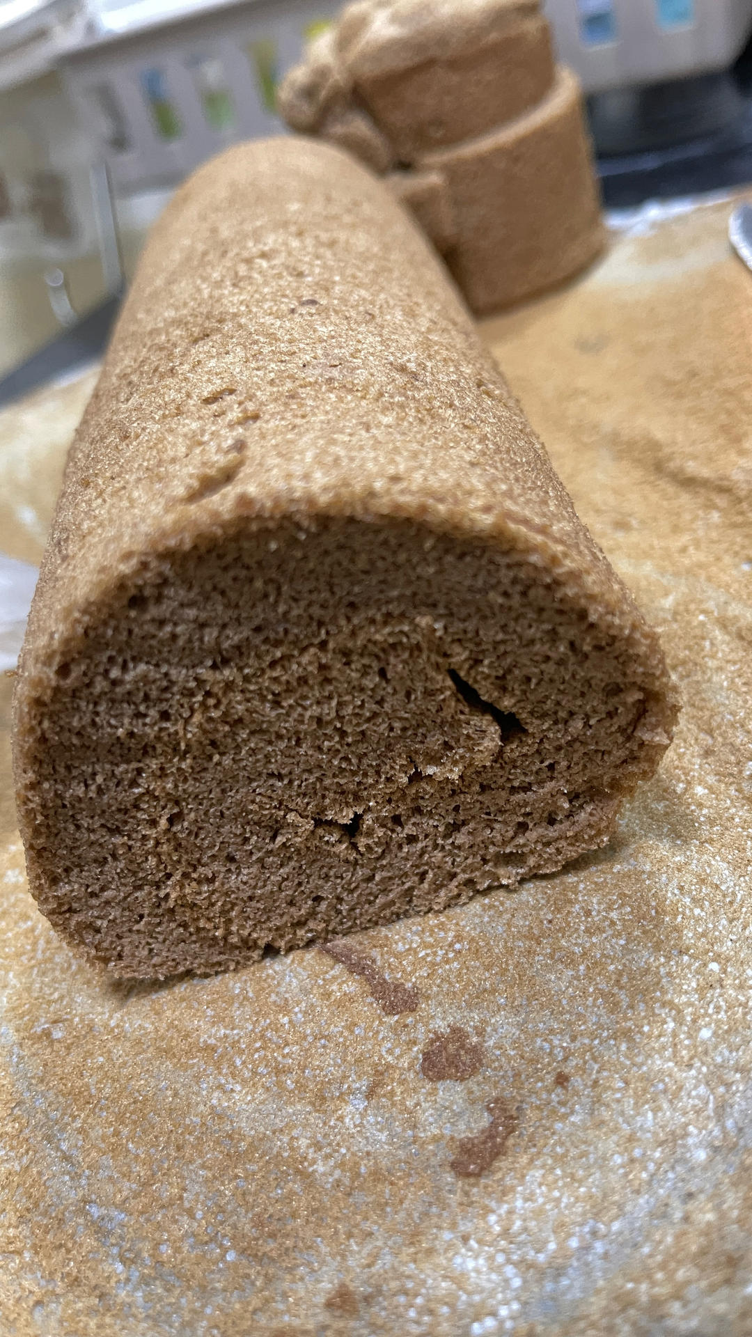 咸摩卡奶油卷/完美毛巾面技巧+回味无穷摩卡配方/烘焙视频蛋糕篇9「中卷」