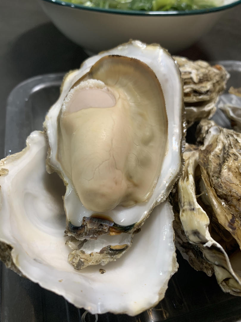 轻松开生蚝，鲜嫩不老