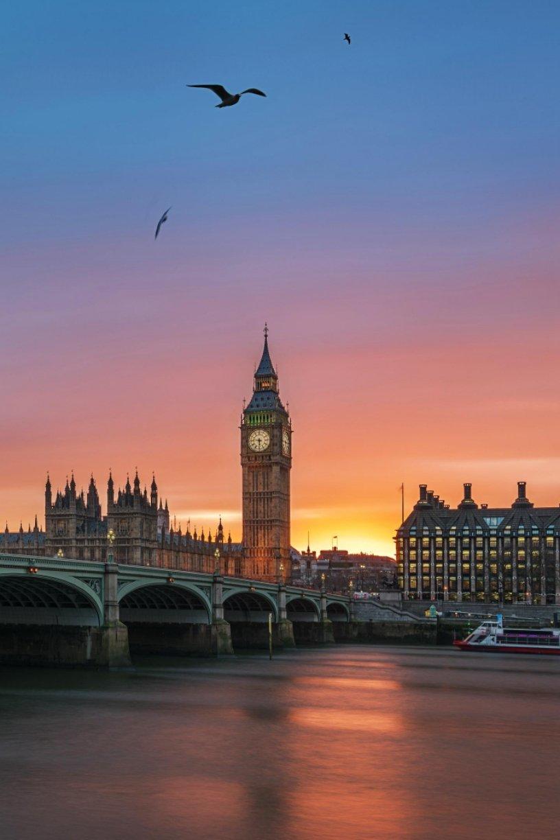 椰蓉奶香小餐包