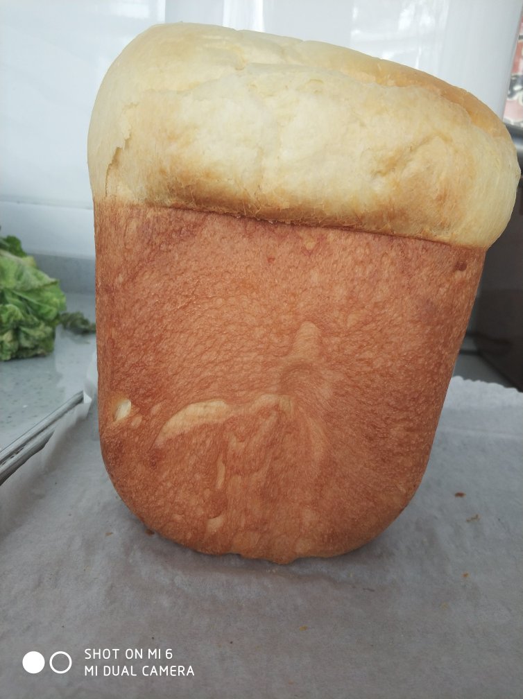 简单省时的北海道牛奶吐司--松下面包机版（100%中种法）