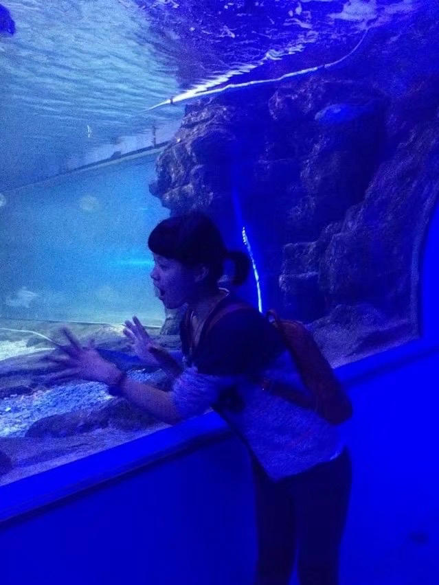 尘萌萌