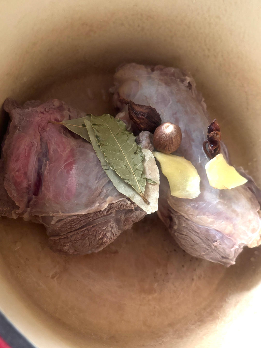极简清炖牛腱
